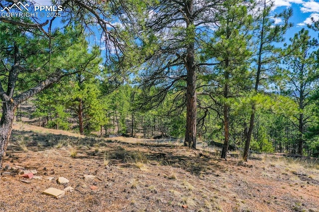 994 Pikes Peak Dr, Florissant, CO 80816