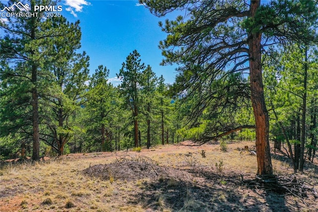 994 Pikes Peak Dr, Florissant, CO 80816