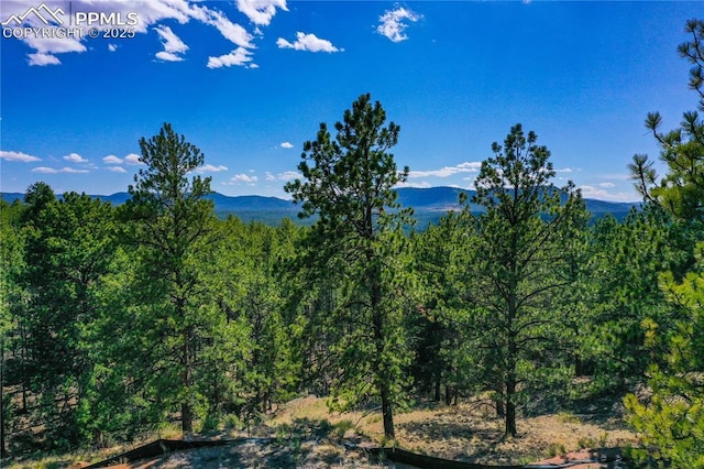 994 Pikes Peak Dr, Florissant, CO 80816