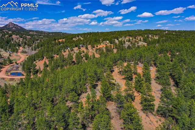 994 Pikes Peak Dr, Florissant, CO 80816