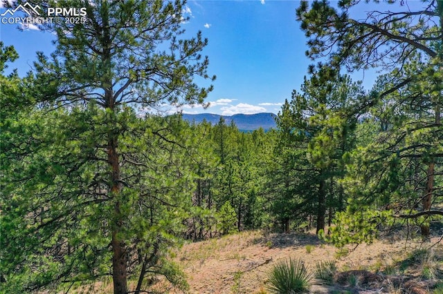 994 Pikes Peak Dr, Florissant, CO 80816