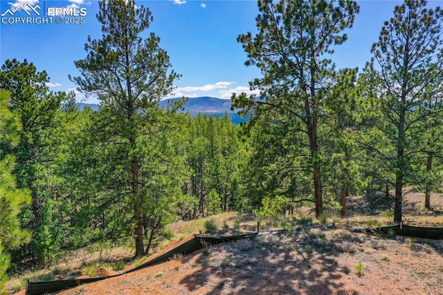 994 Pikes Peak Dr, Florissant, CO 80816