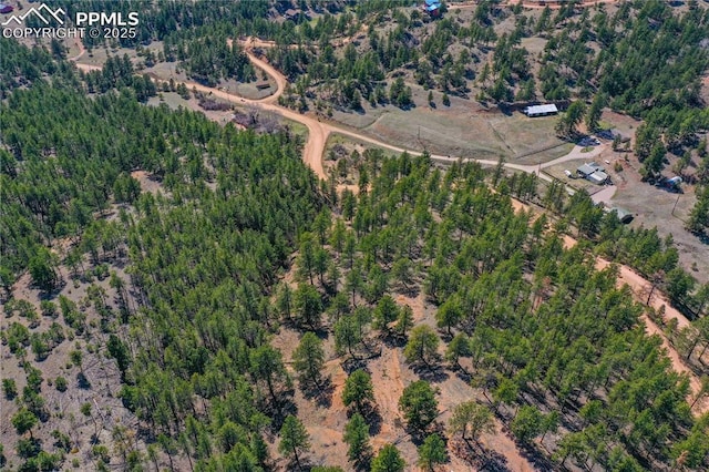 994 Pikes Peak Dr, Florissant, CO 80816