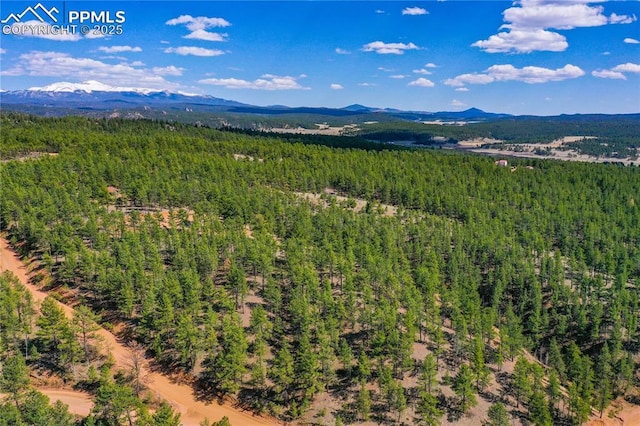 994 Pikes Peak Dr, Florissant, CO 80816