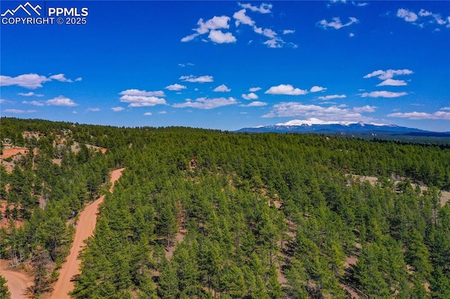 994 Pikes Peak Dr, Florissant, CO 80816