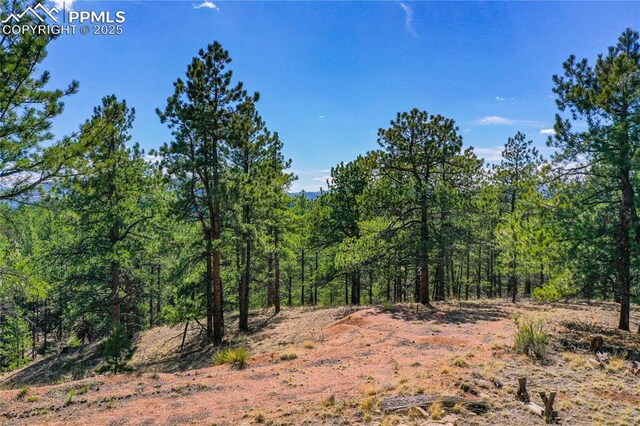 994 Pikes Peak Dr, Florissant, CO 80816