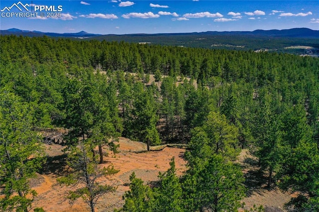 994 Pikes Peak Dr, Florissant, CO 80816