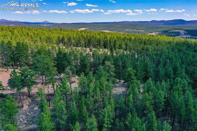 994 Pikes Peak Dr, Florissant, CO 80816