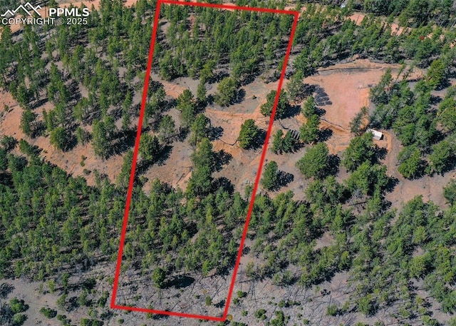 994 Pikes Peak Dr, Florissant, CO 80816