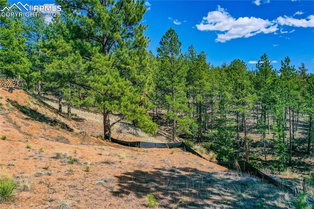 994 Pikes Peak Dr, Florissant, CO 80816
