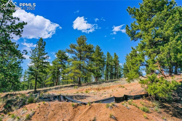 994 Pikes Peak Dr, Florissant, CO 80816