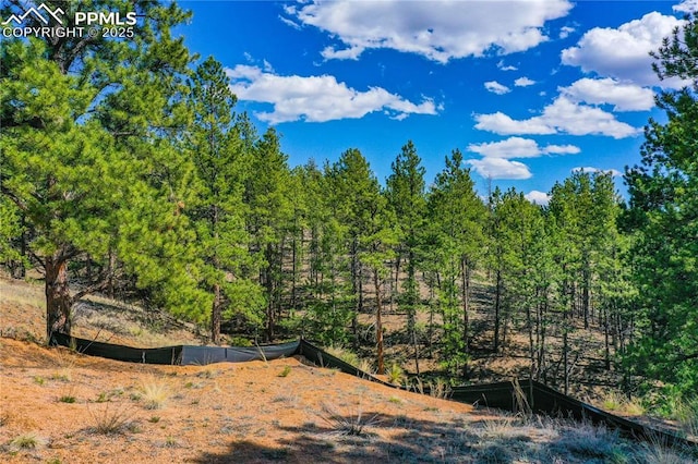 994 Pikes Peak Dr, Florissant, CO 80816
