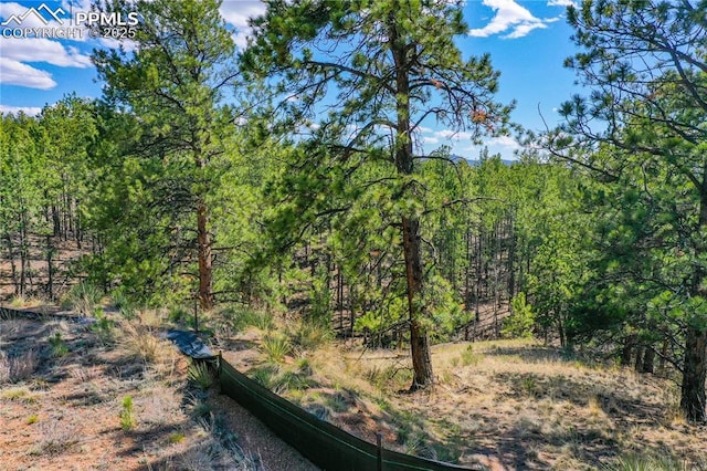 994 Pikes Peak Dr, Florissant, CO 80816