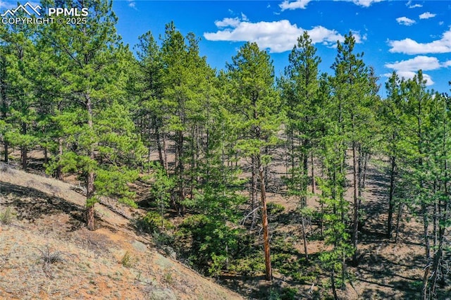 994 Pikes Peak Dr, Florissant, CO 80816