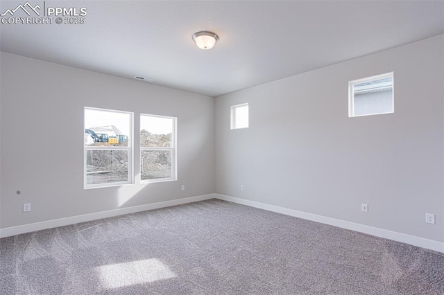 6045 Miller Run Pl, Colorado Springs, CO 80924 - empty room with carpet flooring and baseboards