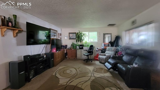 2733 5th Ave, Pueblo, CO 81003 - living area with light colored carpet, an office area, and a textured ceiling