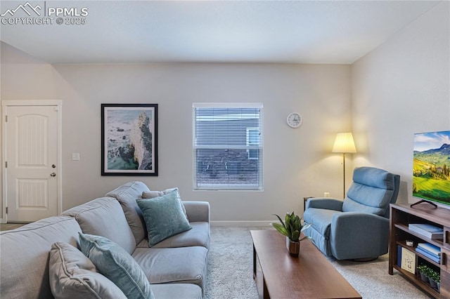 4082 Warthog Hts, Colorado Springs, CO 80916 - living area featuring carpet and baseboards