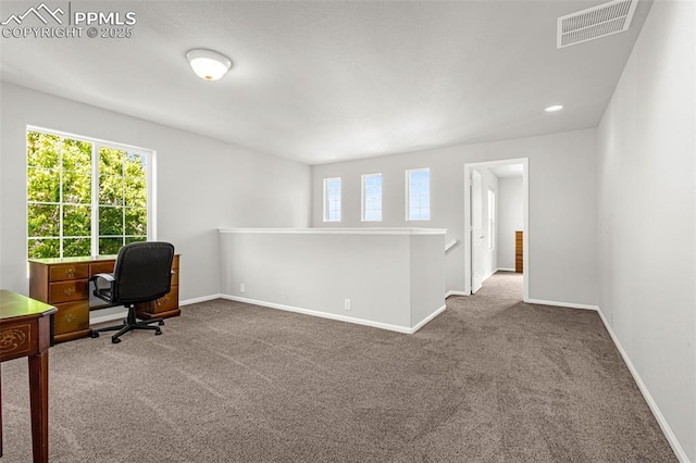 8147 Elk River Vw, Fountain, CO 80817 - office with carpet floors, plenty of natural light, and baseboards