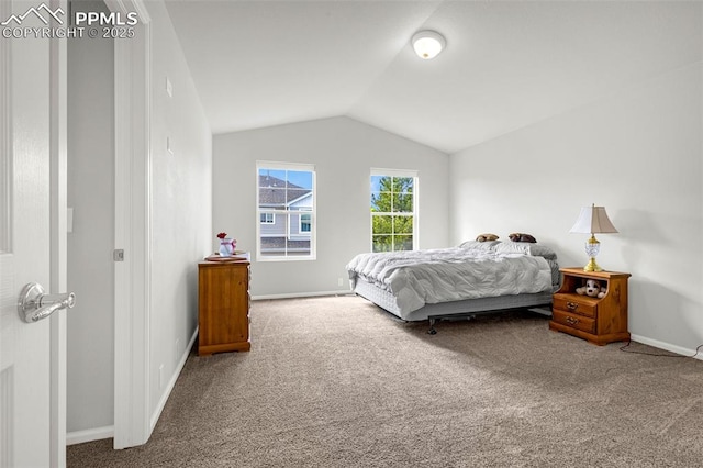 8147 Elk River Vw, Fountain, CO 80817 - bedroom with carpet floors, lofted ceiling, and baseboards