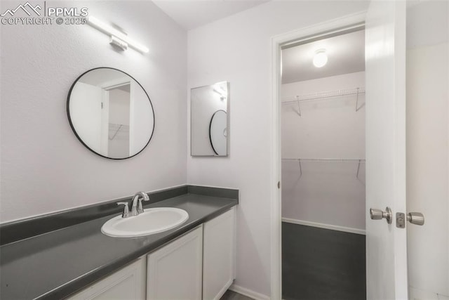 1833 Reilly Grv, Colorado Springs, CO 80951 - bathroom with vanity and a spacious closet