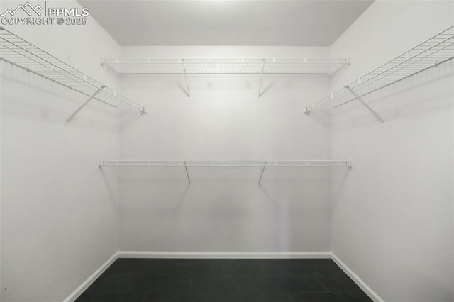 1833 Reilly Grv, Colorado Springs, CO 80951 - view of walk in closet