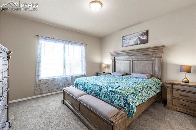 6646 Backcountry Loop, Colorado Springs, CO 80927 - bedroom with carpet and baseboards