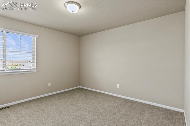 6646 Backcountry Loop, Colorado Springs, CO 80927 - carpeted spare room with baseboards