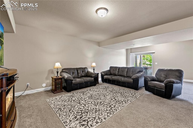 6646 Backcountry Loop, Colorado Springs, CO 80927 - carpeted living room featuring a textured ceiling