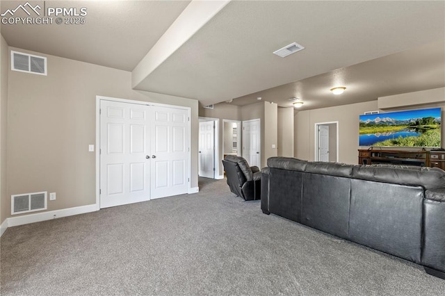 6646 Backcountry Loop, Colorado Springs, CO 80927 - carpeted living room with baseboards