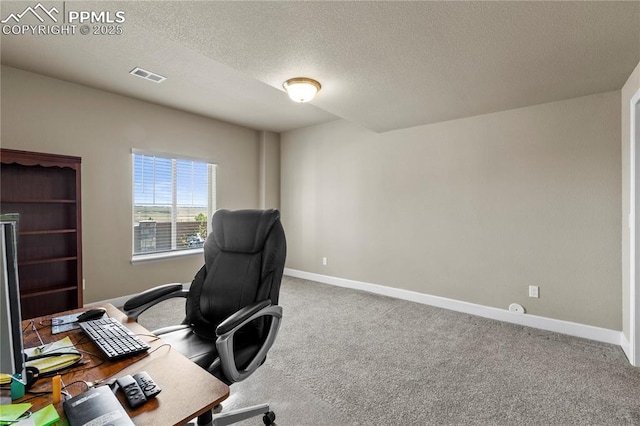 6646 Backcountry Loop, Colorado Springs, CO 80927 - office space with carpet and a textured ceiling