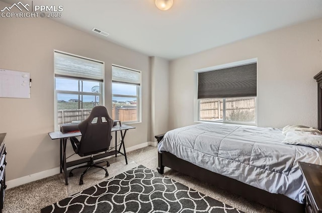 10394 Beckham St, Peyton, CO 80831 - bedroom with carpet floors, multiple windows, and baseboards