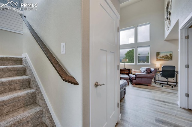 6927 Passing Sky Dr, Colorado Springs, CO 80911 - stairway featuring wood finished floors and a high ceiling