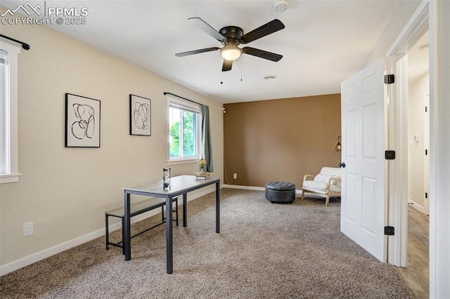 3905 Allgood Dr, Colorado Springs, CO 80911 - home office featuring ceiling fan, carpet floors, and baseboards