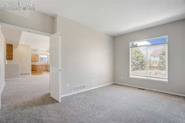 1264 Castle Hills Pl, Colorado Springs, CO 80921 - carpeted spare room featuring baseboards
