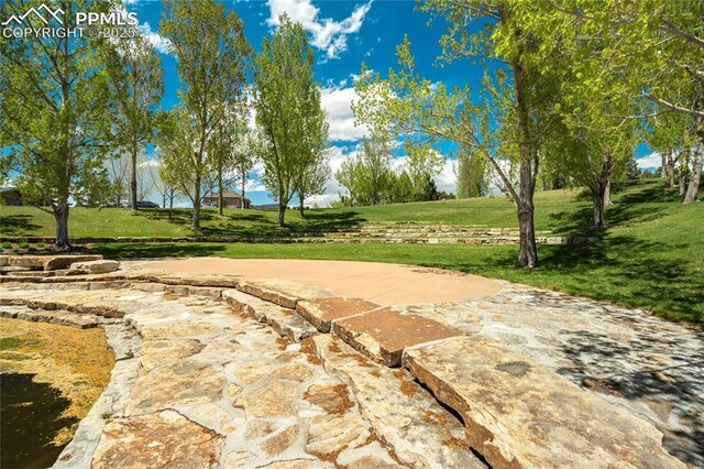 1264 Castle Hills Pl, Colorado Springs, CO 80921 - surrounding community featuring a yard
