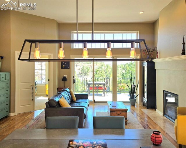 living area featuring a fireplace with flush hearth and wood finished floors