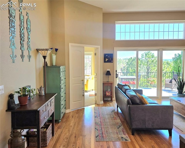 living area featuring wood finished floors and a towering ceiling