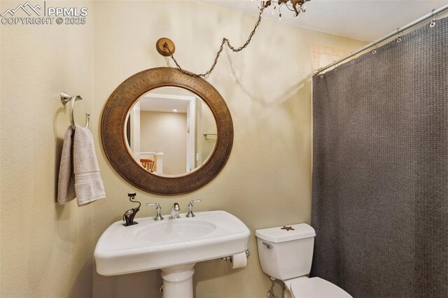 bathroom with a sink, toilet, and a shower with shower curtain