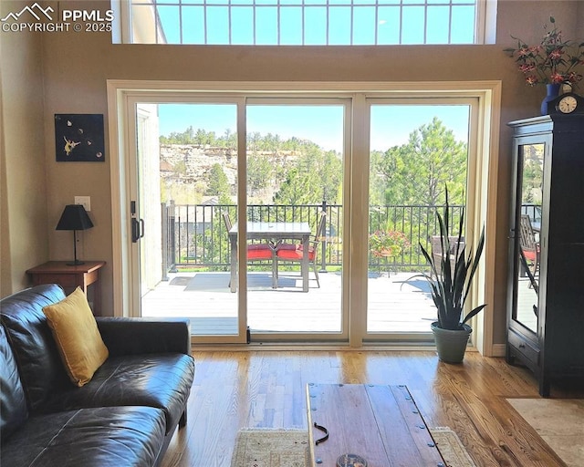 doorway featuring wood finished floors