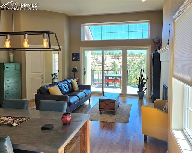 living room featuring wood finished floors and a towering ceiling