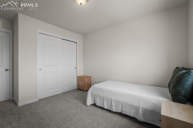 7907 Tremble Pt, Colorado Springs, CO 80908 - bedroom with carpet, a closet, and baseboards