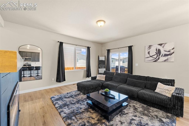 11456 Sanderling St, Colorado Springs, CO 80925 - living area featuring light wood-type flooring and baseboards