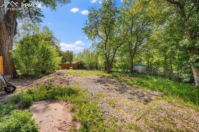 1428 N Prospect St, Colorado Springs, CO 80907 - view of yard