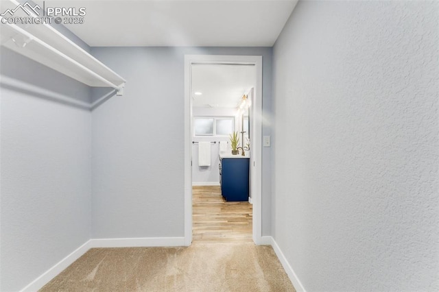 445 Wintery Cir, Colorado Springs, CO 80919 - spacious closet with carpet flooring
