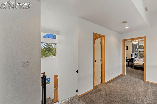 921 Cottonwood Lake Dr, Divide, CO 80814 - hall with carpet floors, an upstairs landing, and baseboards