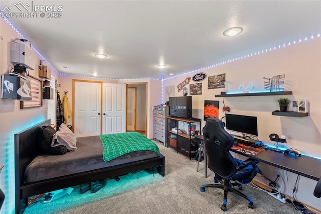 921 Cottonwood Lake Dr, Divide, CO 80814 - carpeted bedroom featuring an office area and a closet
