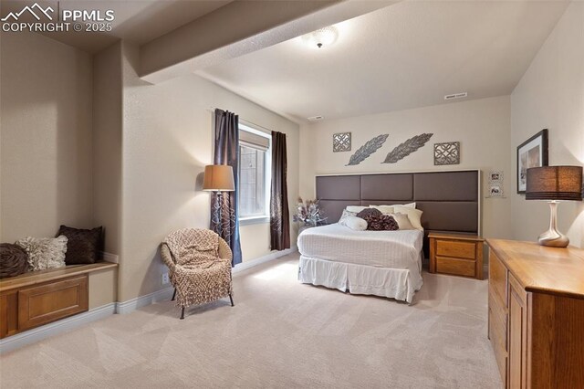 10061 Oak Knoll Ter, Colorado Springs, CO 80920 - bedroom featuring light colored carpet and baseboards
