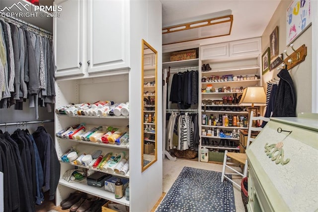 18045 Woodhaven Pl, Colorado Springs, CO 80908 - view of walk in closet