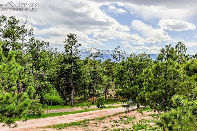 2760 Evergreen Rd, Colorado Springs, CO 80921 - view of dirt / gravel road featuring a mountain view