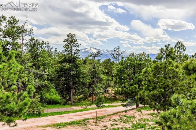 2760 Evergreen Rd, Colorado Springs, CO 80921 - view of dirt / gravel road featuring a mountain view